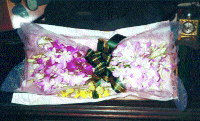 ORCHIDS_IMAGE
